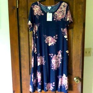Lularoe Jessie Style Dress 💜
